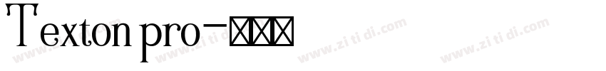 Texton pro字体转换
